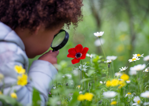 Image of a child looking at a flower through a magnifying glass