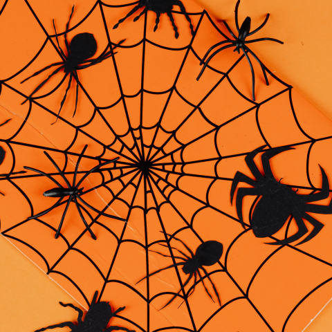 Paper and plastic spiders and spiderweb on an orange background