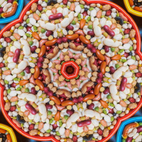 Bean Mandala