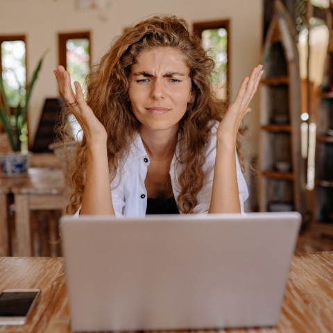 Frustrated women at the computer